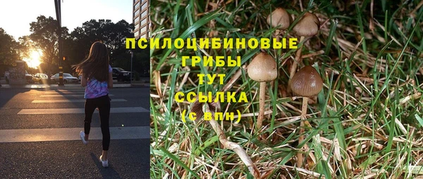 гидра Алзамай