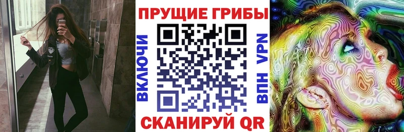дарнет шоп Энгельс Галлюциногенные грибы прущие грибы